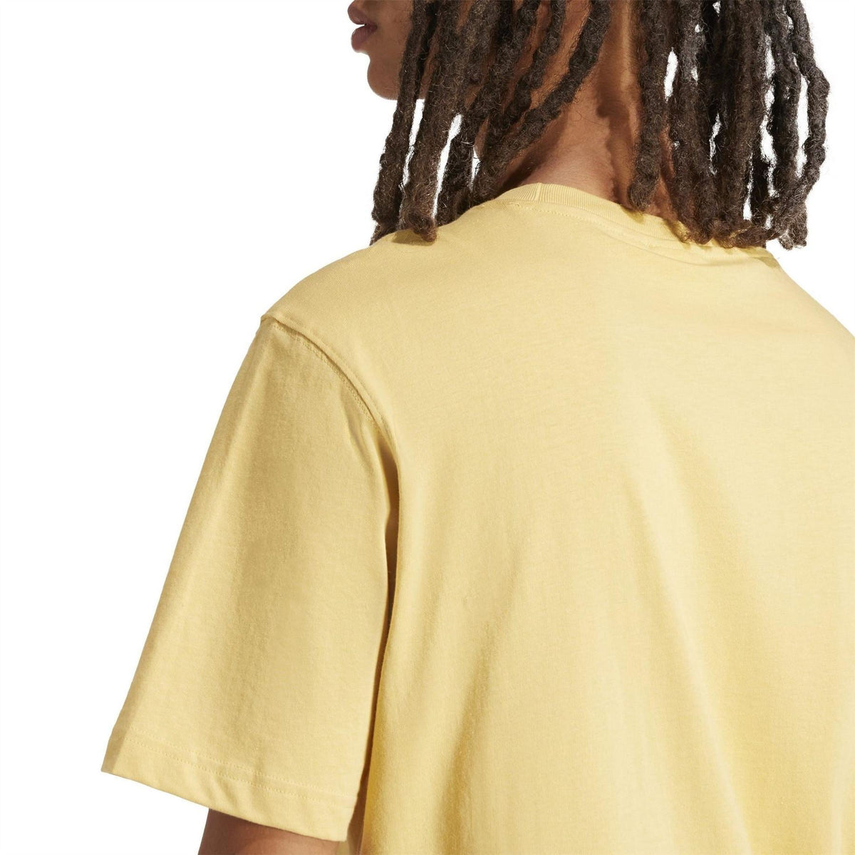 Oat crew neck T-shirt back view, plain design with short sleeves