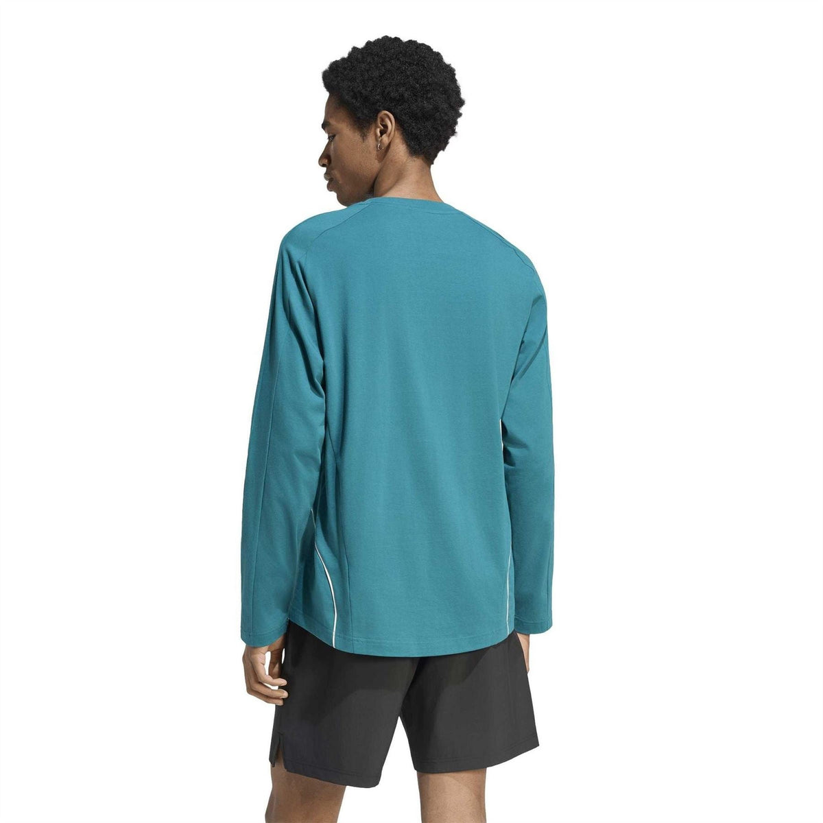 Teal raglan crewneck jersey T-shirt, back view with white seam-line panel