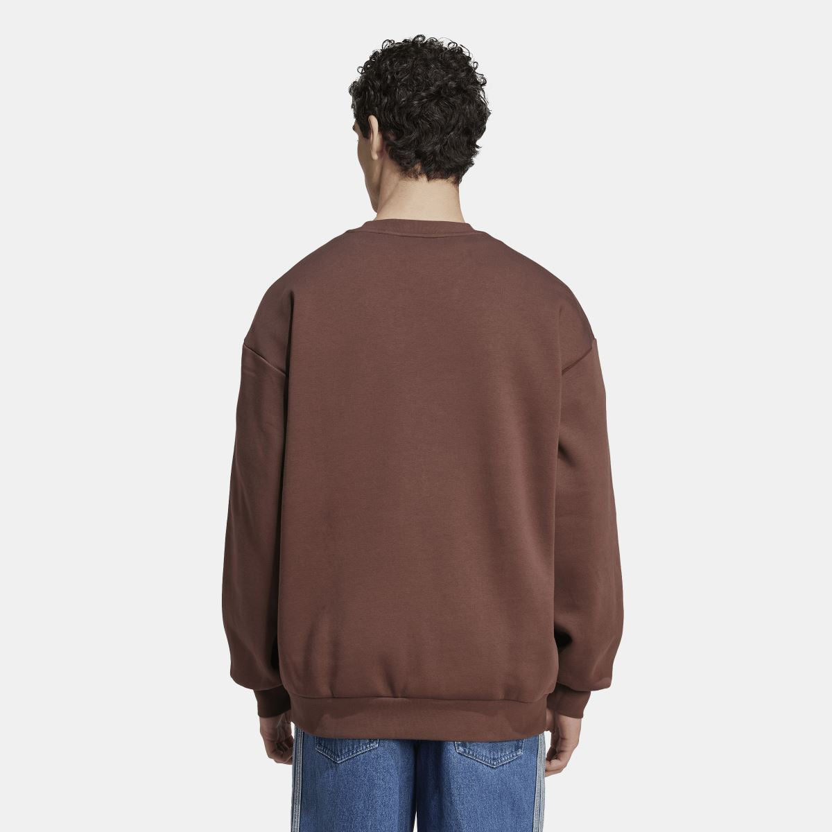 Brown oversized crewneck sweatshirt from the back with ribbed hem and cuffs