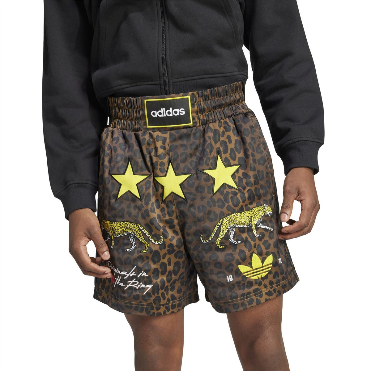 adidas Originals Aop Box Shorts with colorful abstract print, casual fit, and elastic waistband for comfortable wear