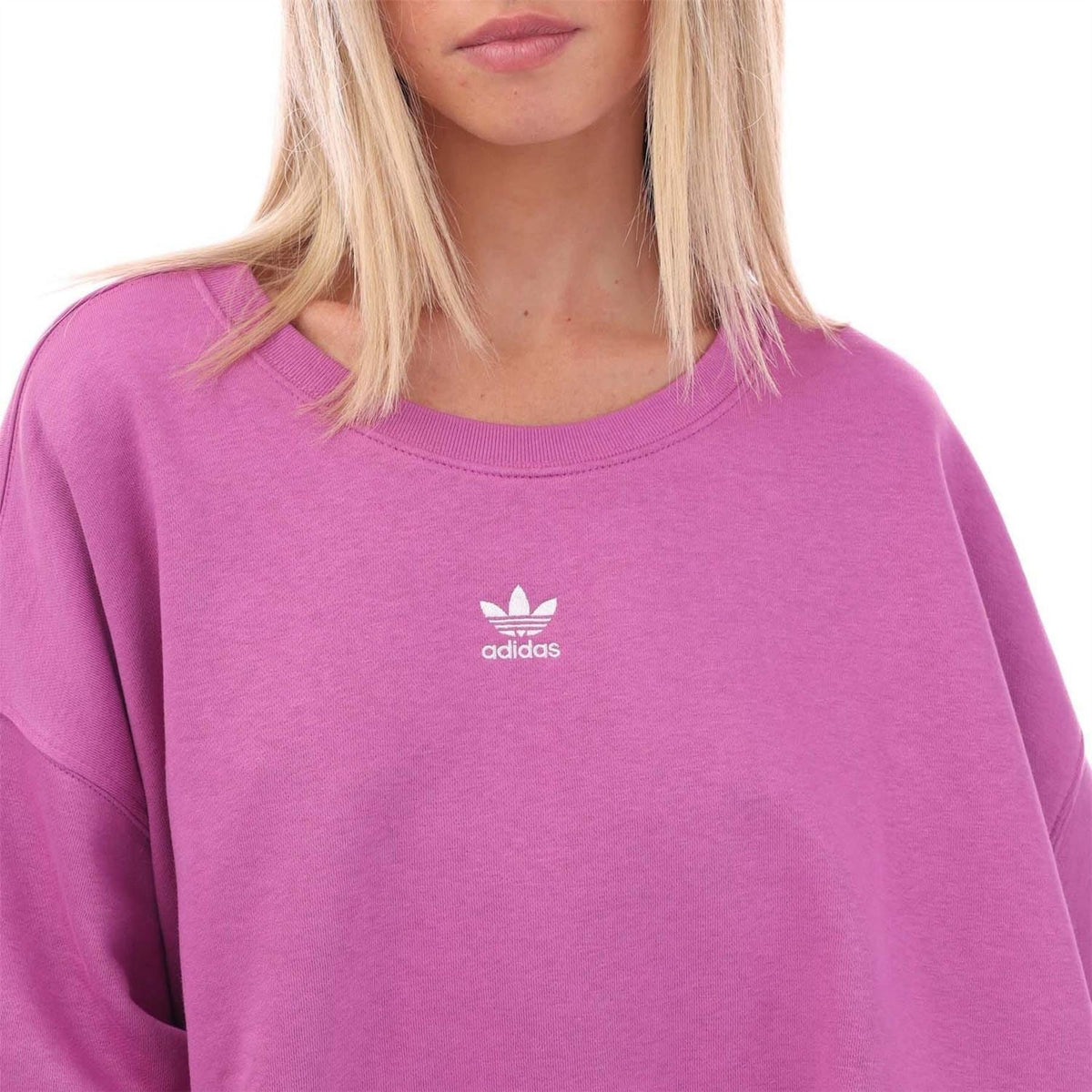 Plus size adidas Originals Essentials Crew Sweatshirt in gray, featuring a comfortable crew neck and classic athletic style.