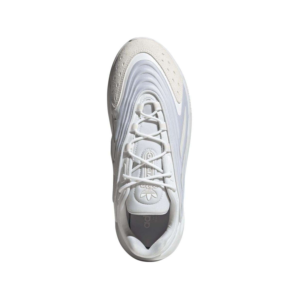 White Ozelia trainers from above, lace-up and padded collar detail