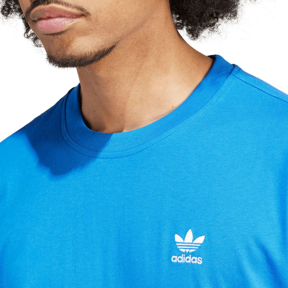 Blue T-shirt chest logo: adidas Trefoil and text
