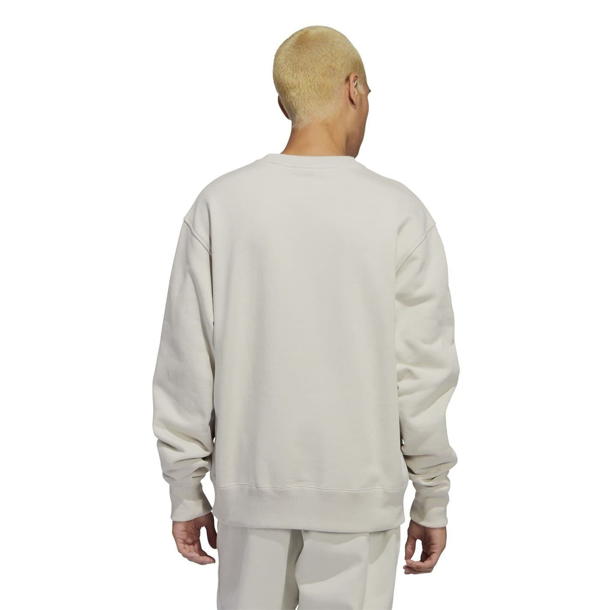 Light beige crewneck sweatshirt shown from the back, relaxed fit with ribbed cuffs.