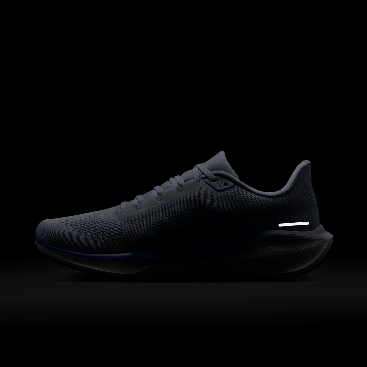 Dark gray running shoe with Nike swoosh and contrast white side stripe