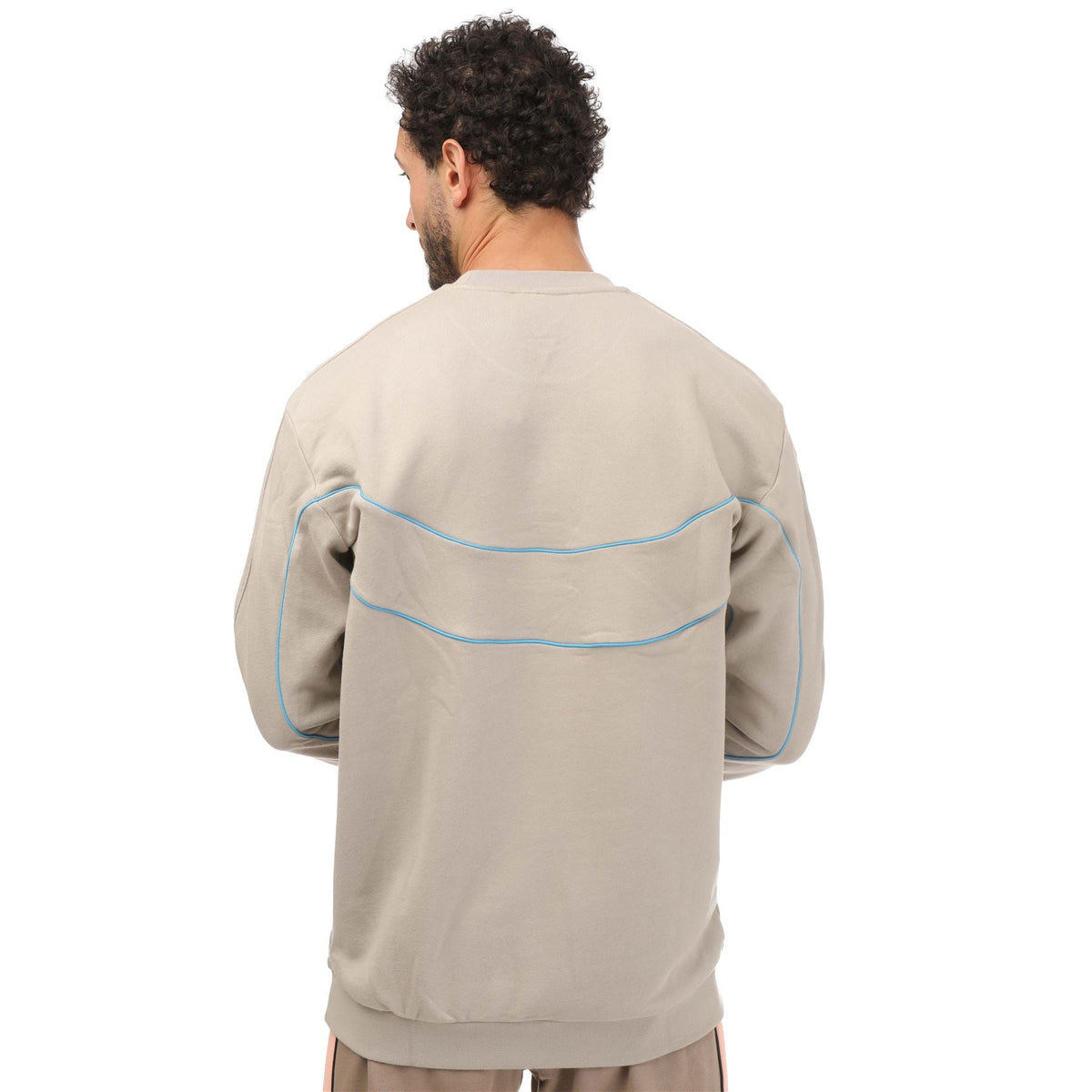 Light beige crewneck sweatshirt from back with blue contrast panel lines, long sleeves