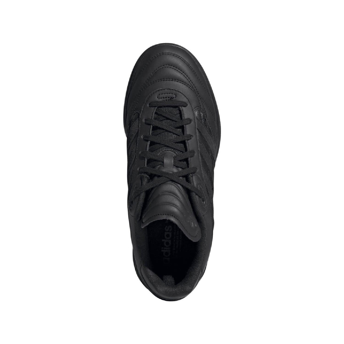 Black lace-up trainer with eyelets, padded collar, and tongue branding