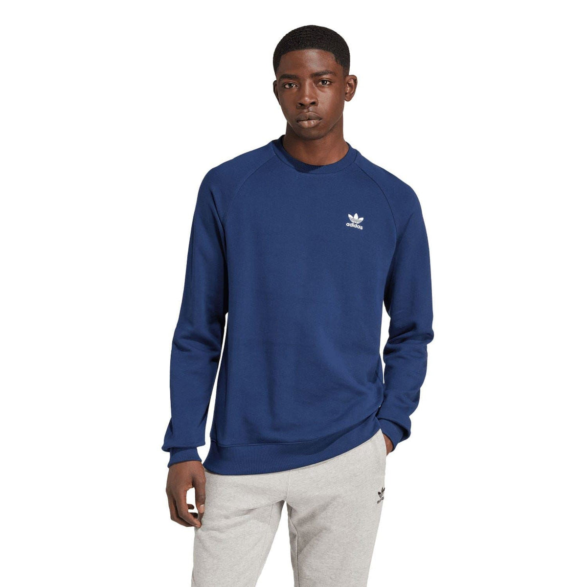 Indigo crewneck sweatshirt with small Trefoil logo on chest