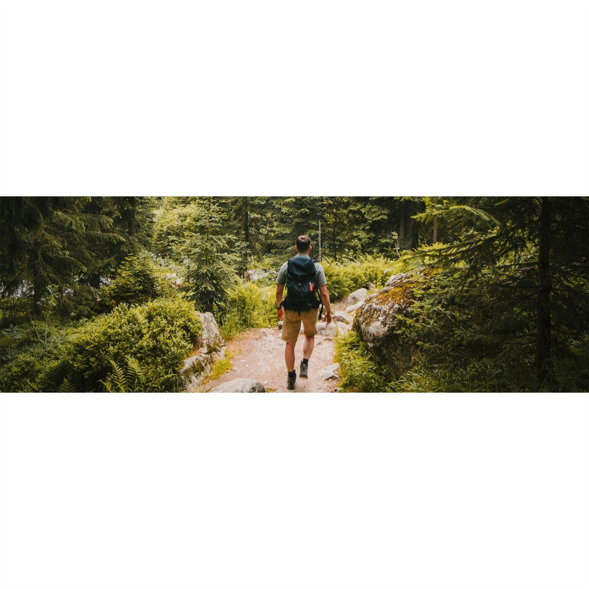 Nike Air Max 270 trainers on a runner’s feet on a forest trail
