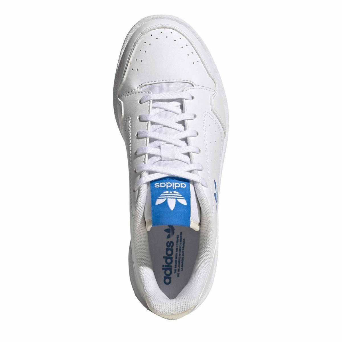 White sneaker with blue adidas label on insole and white lace-up tongue